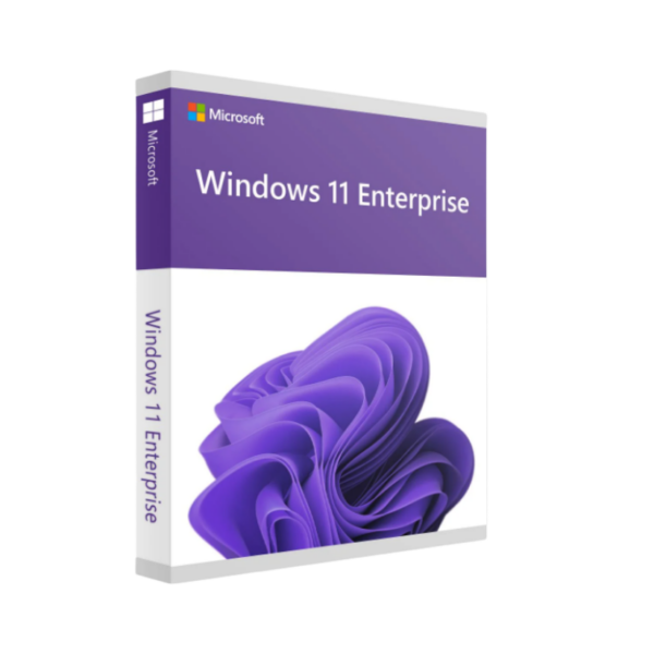 Microsoft Windows 11 Enterprise DVD Kutu